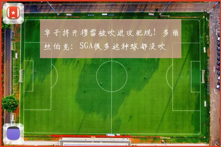 华子挤开穆雷被吹进攻犯规！多丽丝伯克：SGA很多这种球都没吹